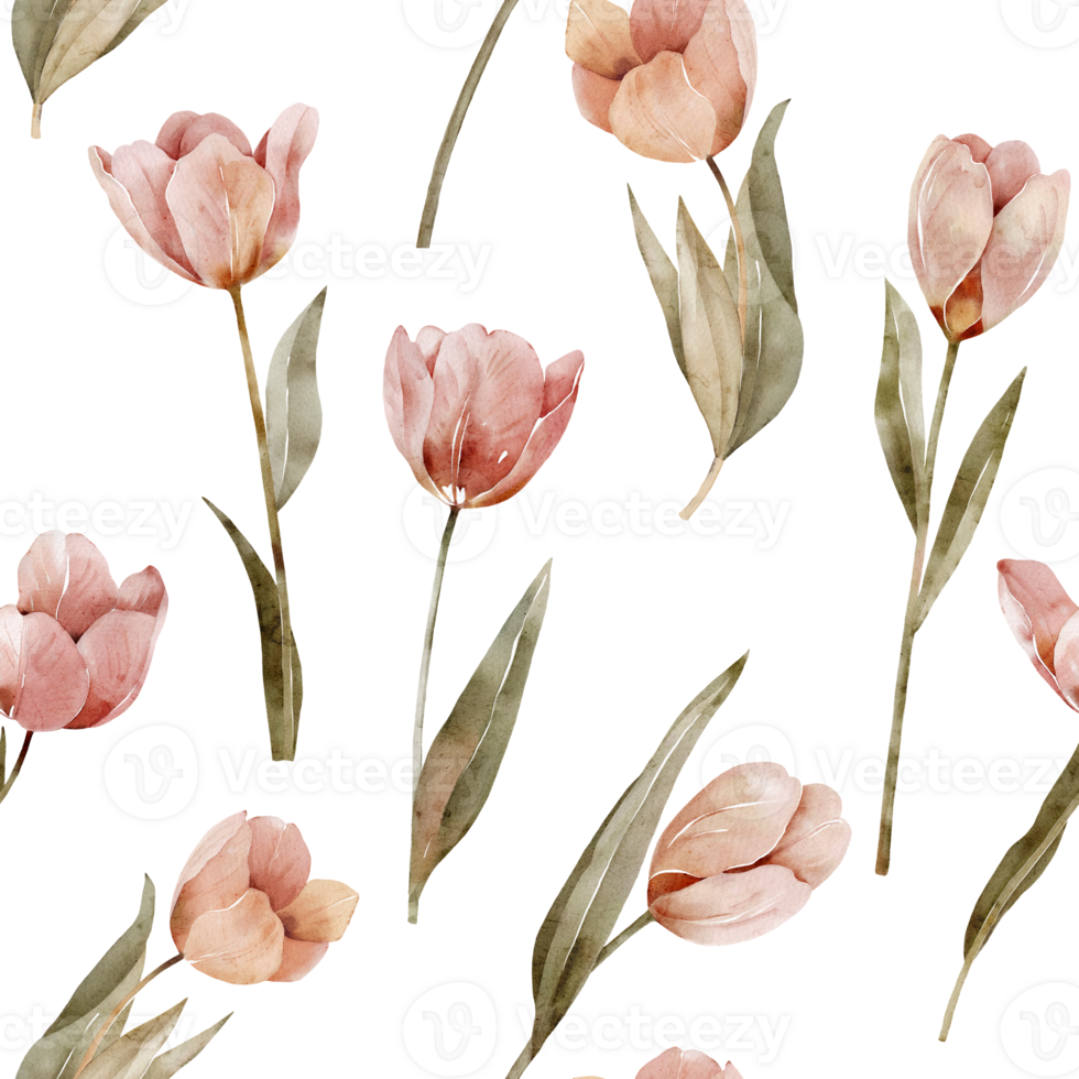 Seamless pattern with watercolor pink tulips. Hand-drawn illustration. png
