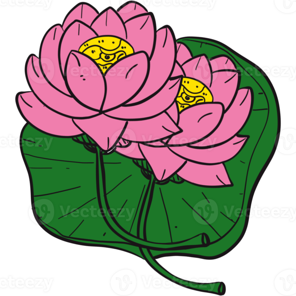 de illustration av en lotus png