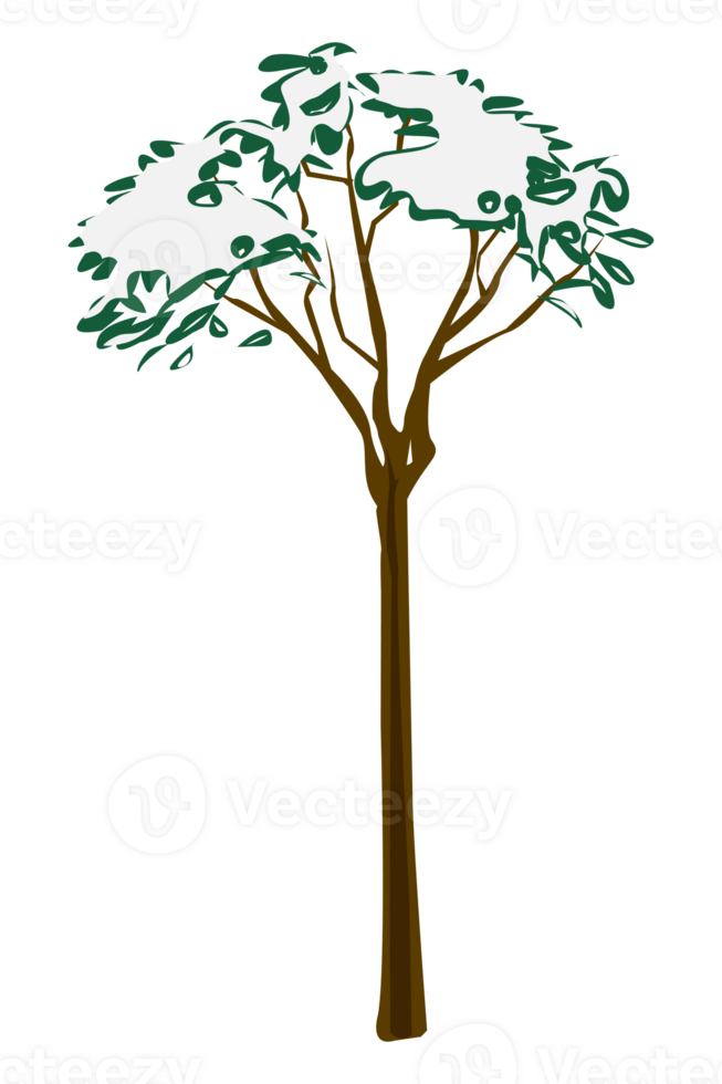 snowy tree at afternoon winter illustration png