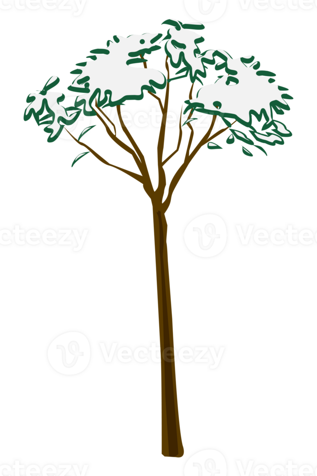 snowy tree at afternoon winter illustration png