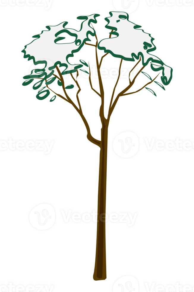 snowy tree at afternoon winter illustration png