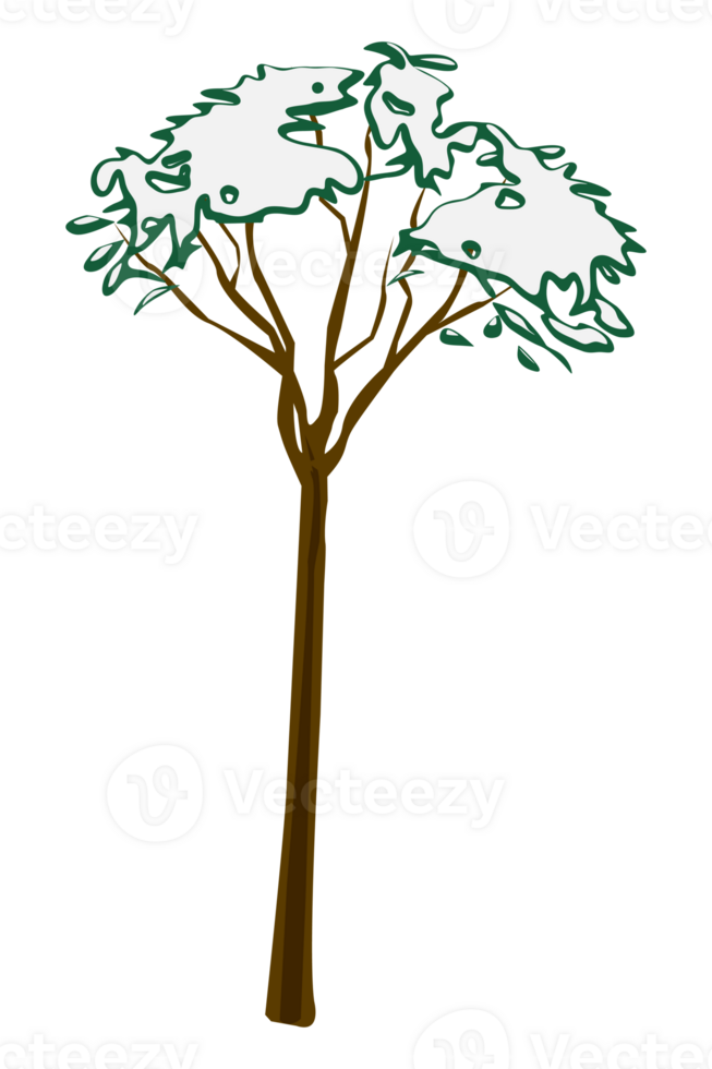 snowy tree at afternoon winter illustration png