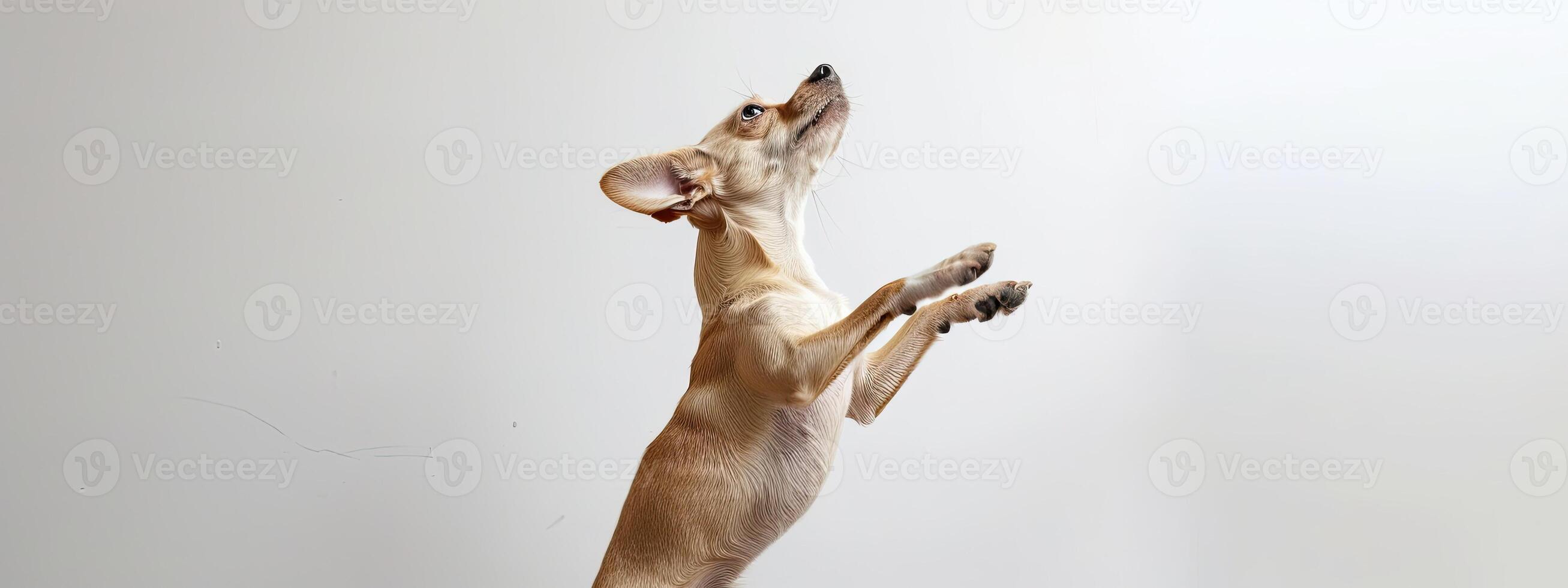 AI generated a playful dog standing on its hind legs on white background photo