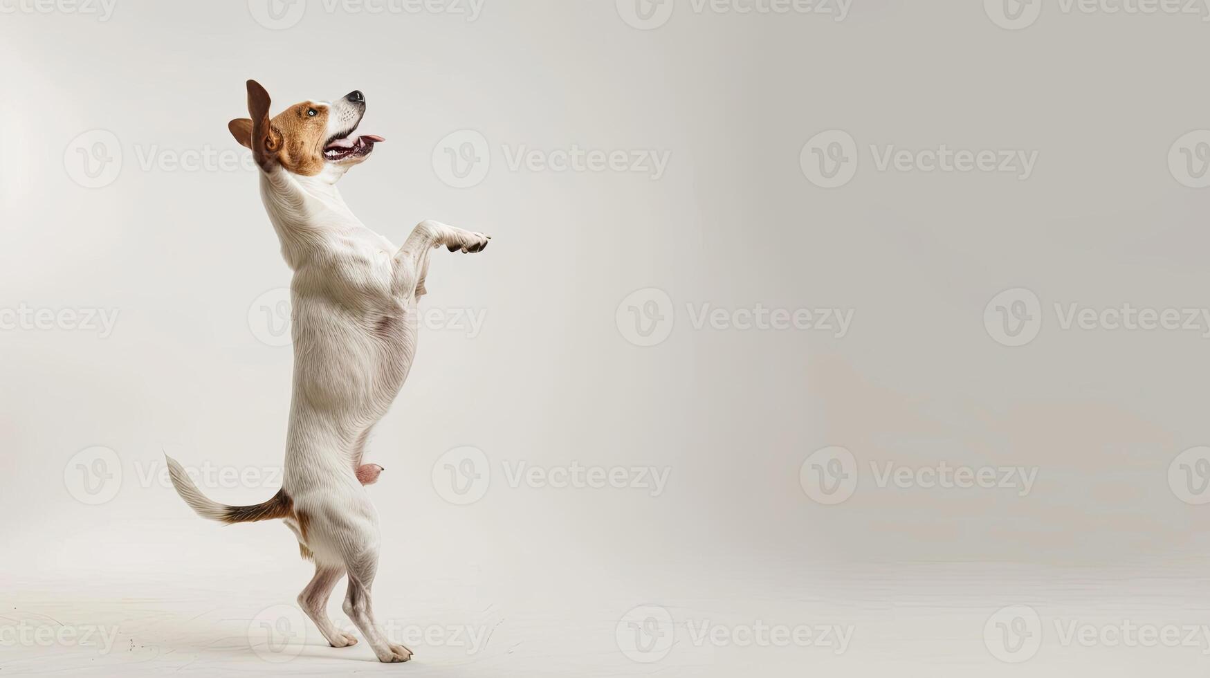 AI generated a playful dog standing on its hind legs on white background photo