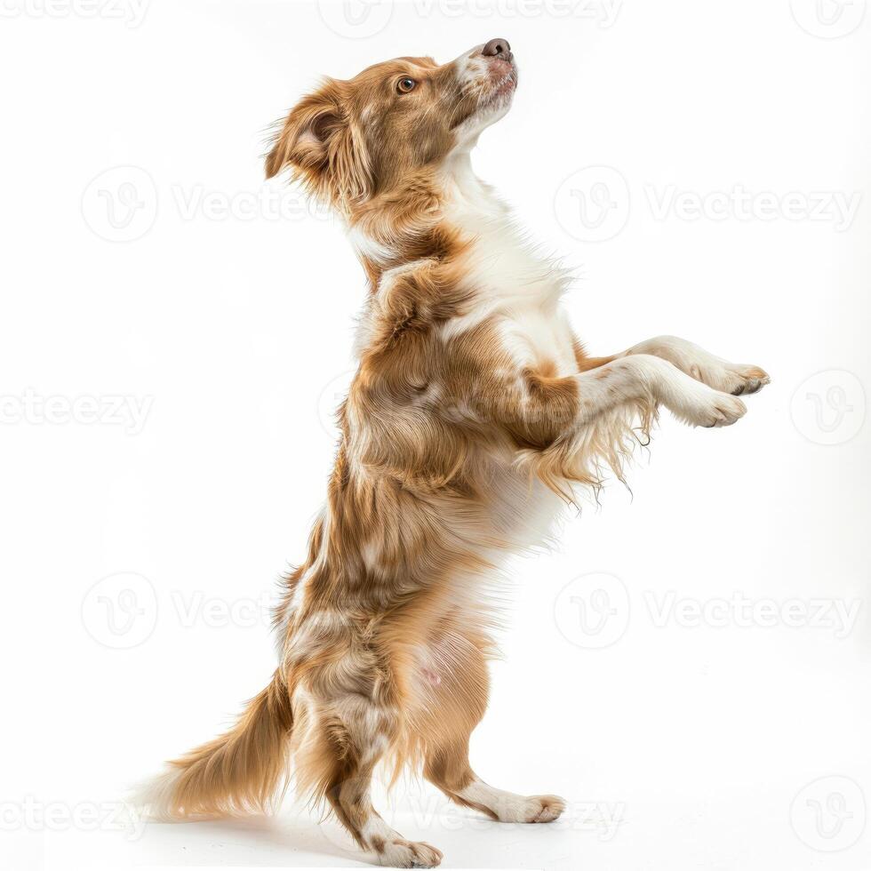 AI generated a playful dog standing on its hind legs on white background photo