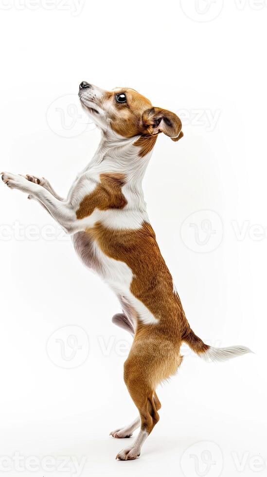AI generated a playful dog standing on its hind legs on white background photo