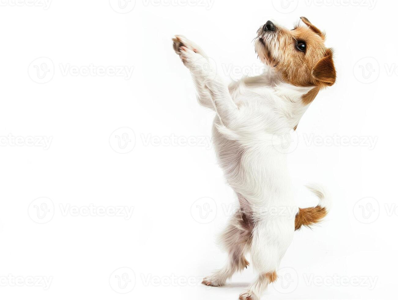 AI generated a playful dog standing on its hind legs on white background photo