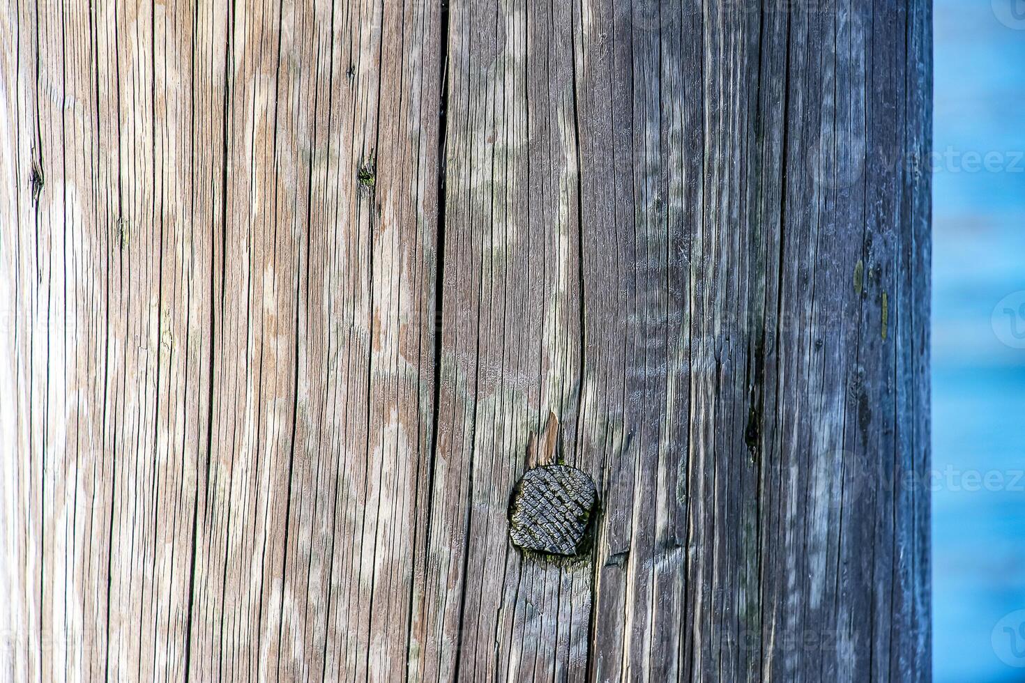 un muelle hecho de de madera pila de algo para amarradero barcos y mantener el estabilidad de el muelle en contra el fondo de agua lago traunsee en Austria. foto