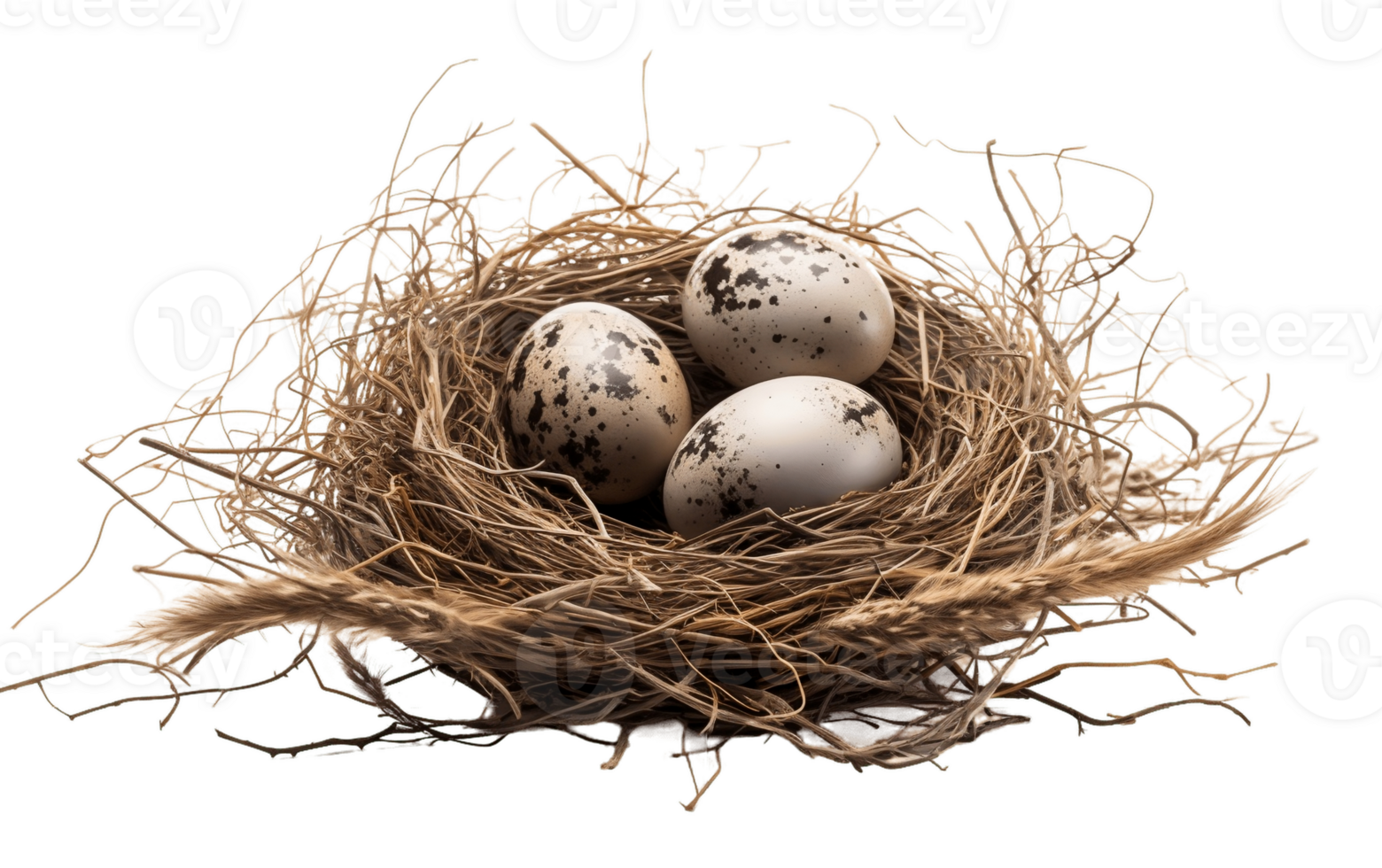 AI generated Isolated Nest with Eggs PNG on Transparent Background Generative AI