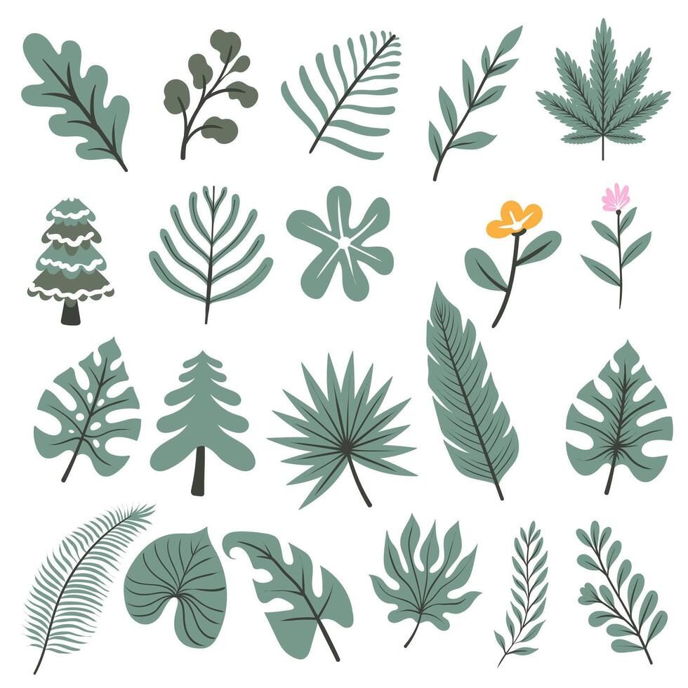 set of tropical leaves and trees vector
