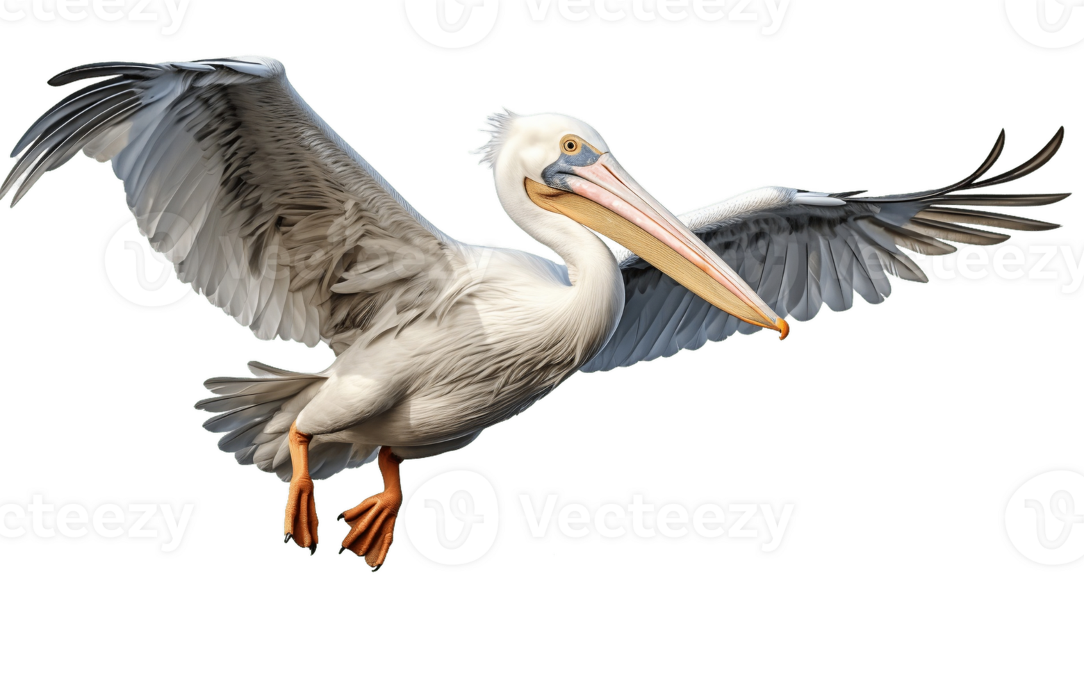 AI generated Pelagic Avian Isolated on Transparent Background Generative AI png