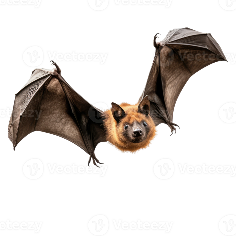 AI generated Realistic Image of Guam Flying Fox, on transparent background. png