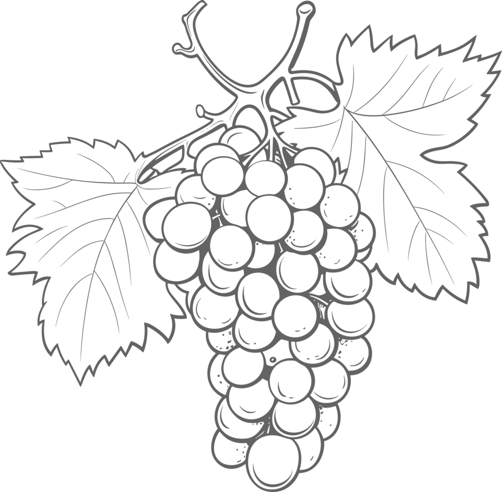 AI generated Grapes clipart design illustration png