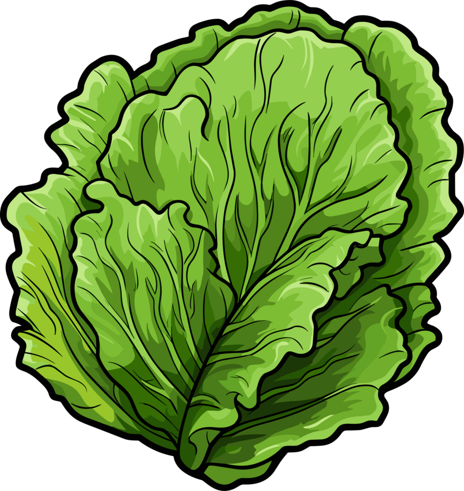 AI generated Lettuce clipart design illustration png