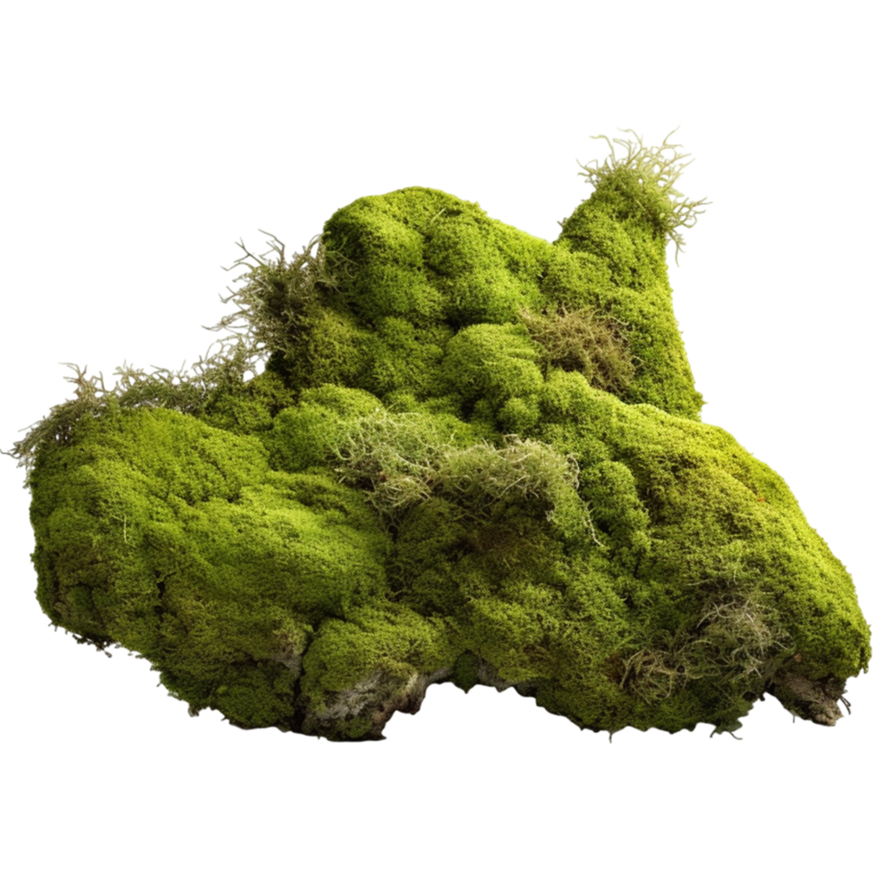 AI generated Plant grass moss vegetation transparent background png