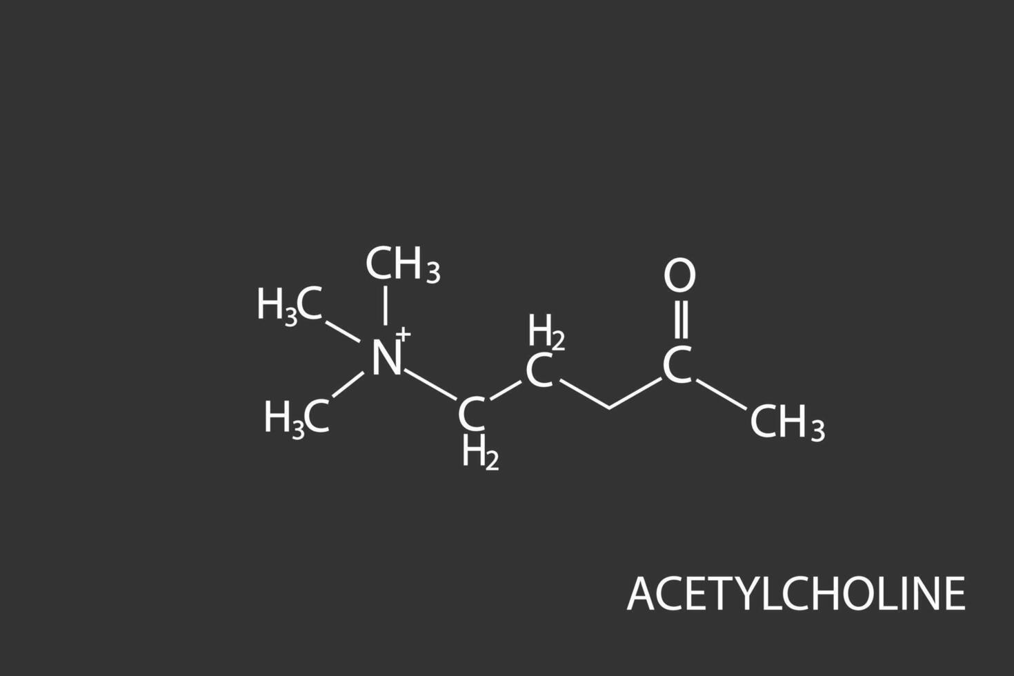 acetylcholine molecular skeletal chemical formula vector