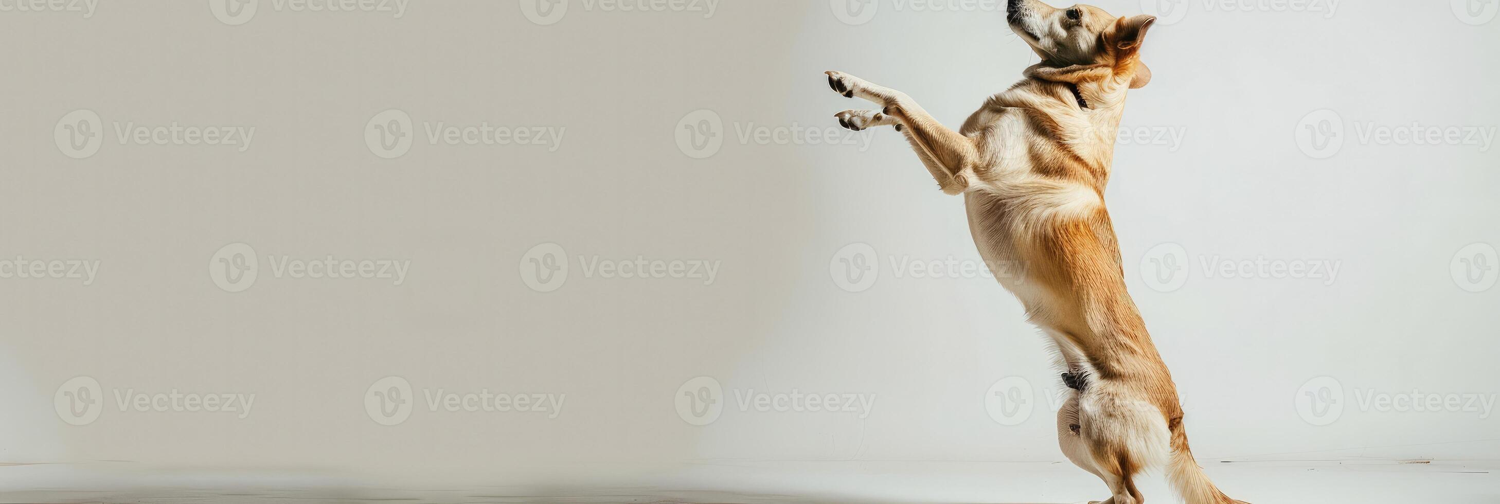 AI generated a playful dog standing on its hind legs on white background photo