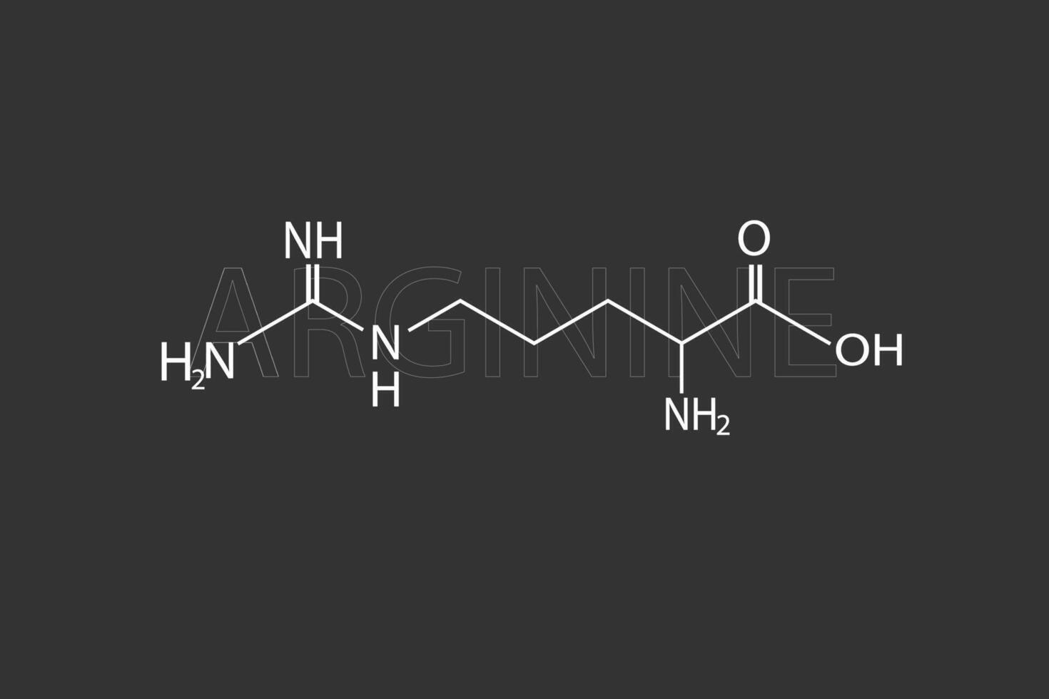 arginina molecular esquelético químico fórmula vector