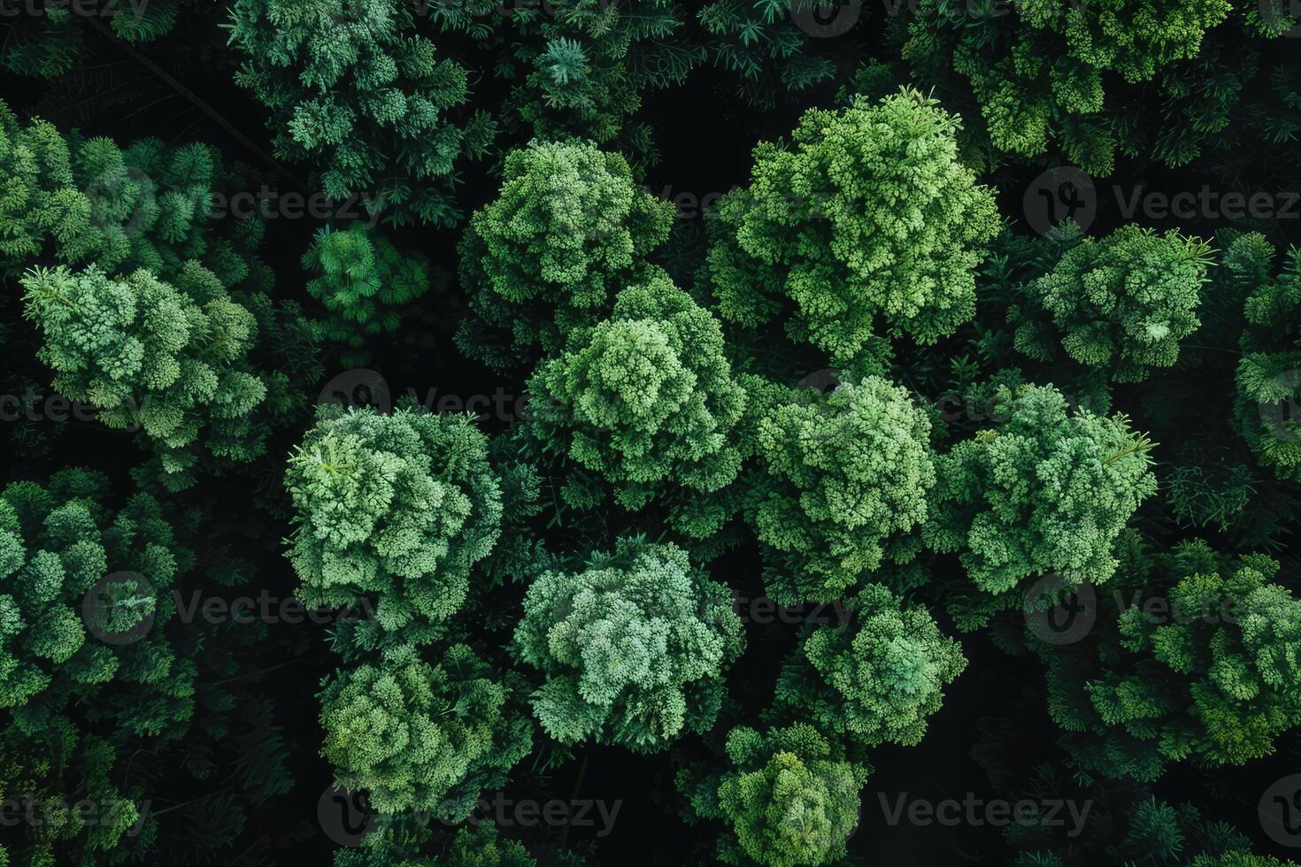 AI generated lush green forest nature professional photography photo