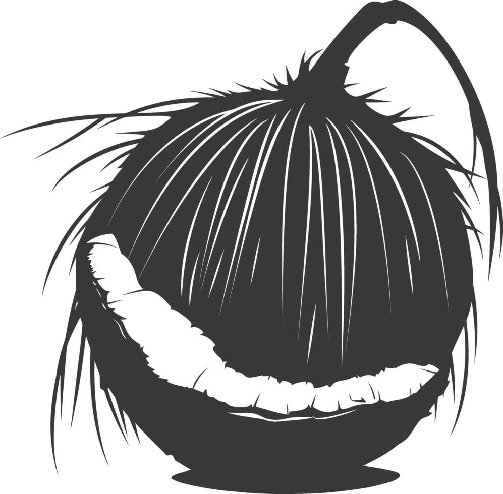 AI generated Silhouette Coconut Fruit black color only vector