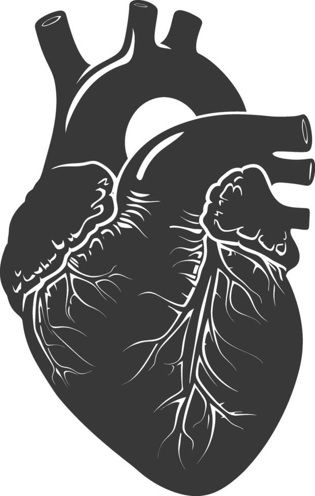 AI generated Silhouette for internal organs of heart black color only vector