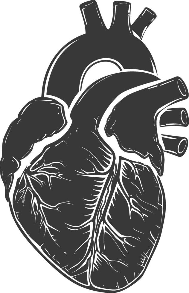 AI generated Silhouette for internal organs of heart black color only vector