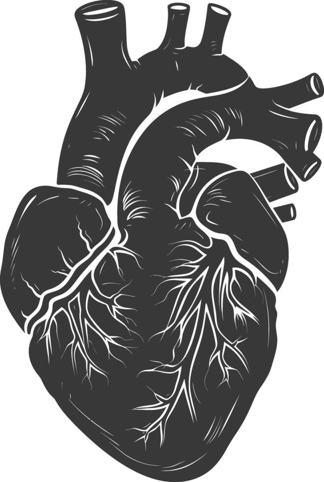 AI generated Silhouette for internal organs of heart black color only vector