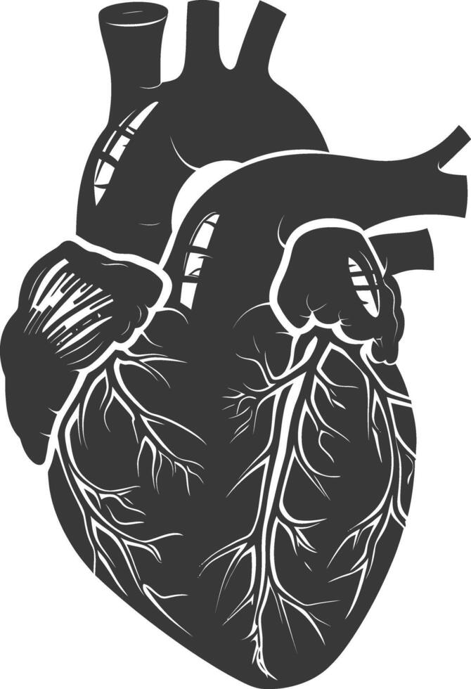 AI generated Silhouette for internal organs of heart black color only vector