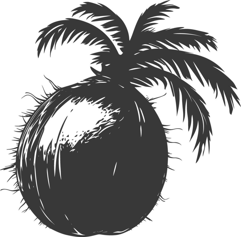 AI generated Silhouette Coconut Fruit black color only vector