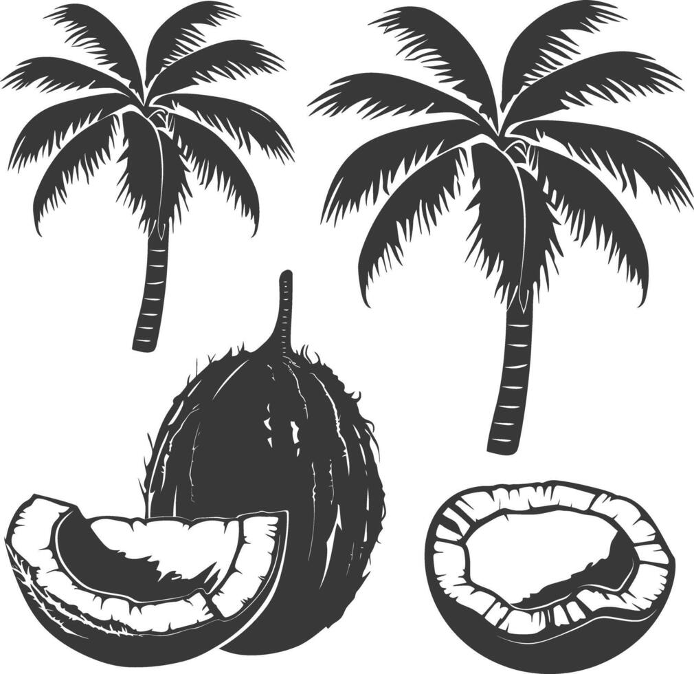 AI generated Silhouette Coconut Fruit black color only vector