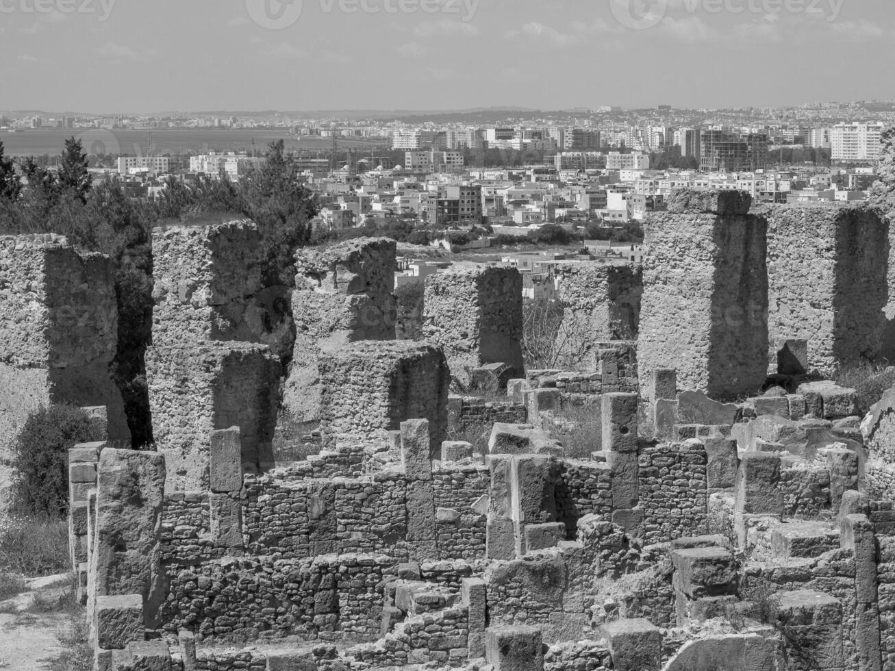 tunis in tunisia photo