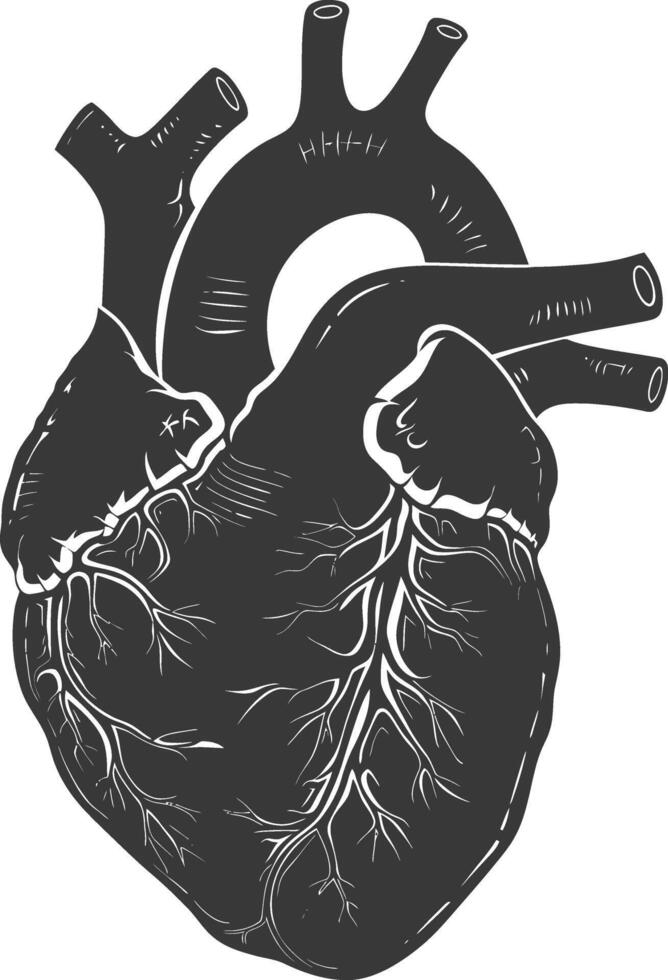 AI generated Silhouette for internal organs of heart black color only vector