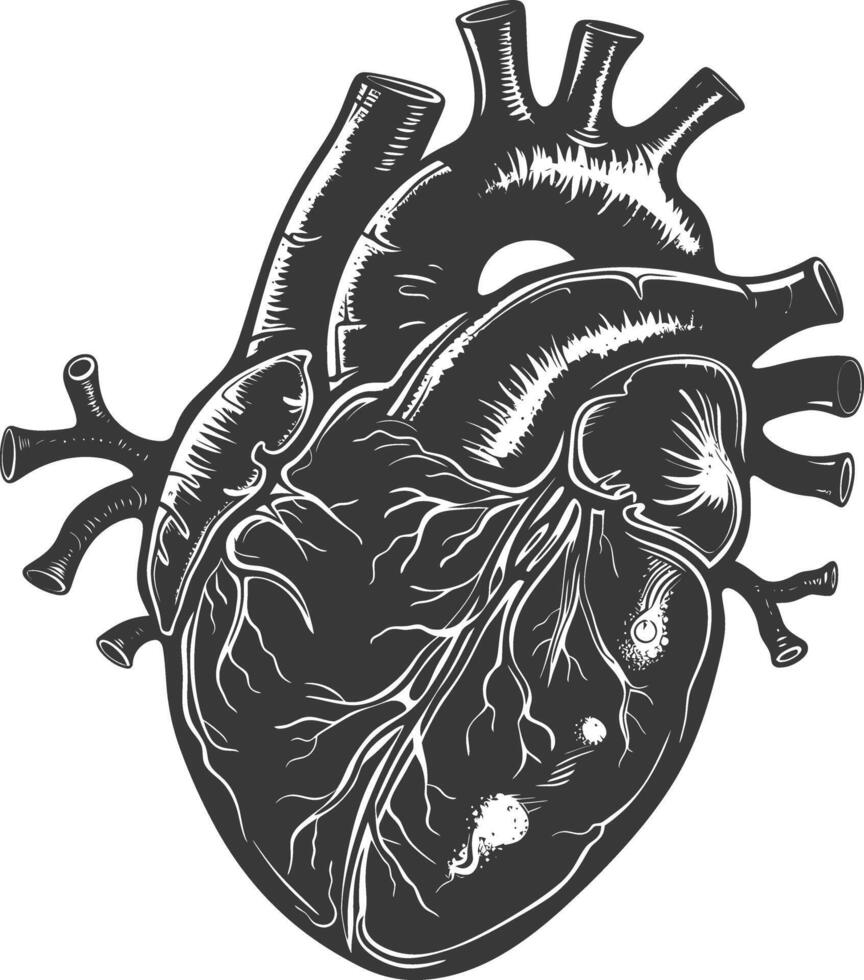 AI generated Silhouette for internal organs of heart black color only vector