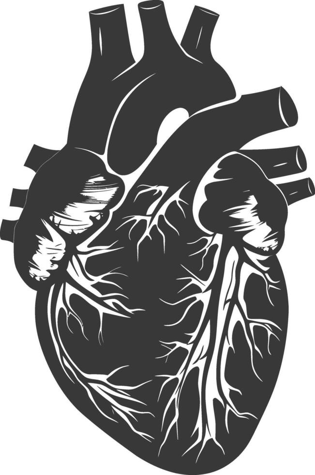 AI generated Silhouette for internal organs of heart black color only vector