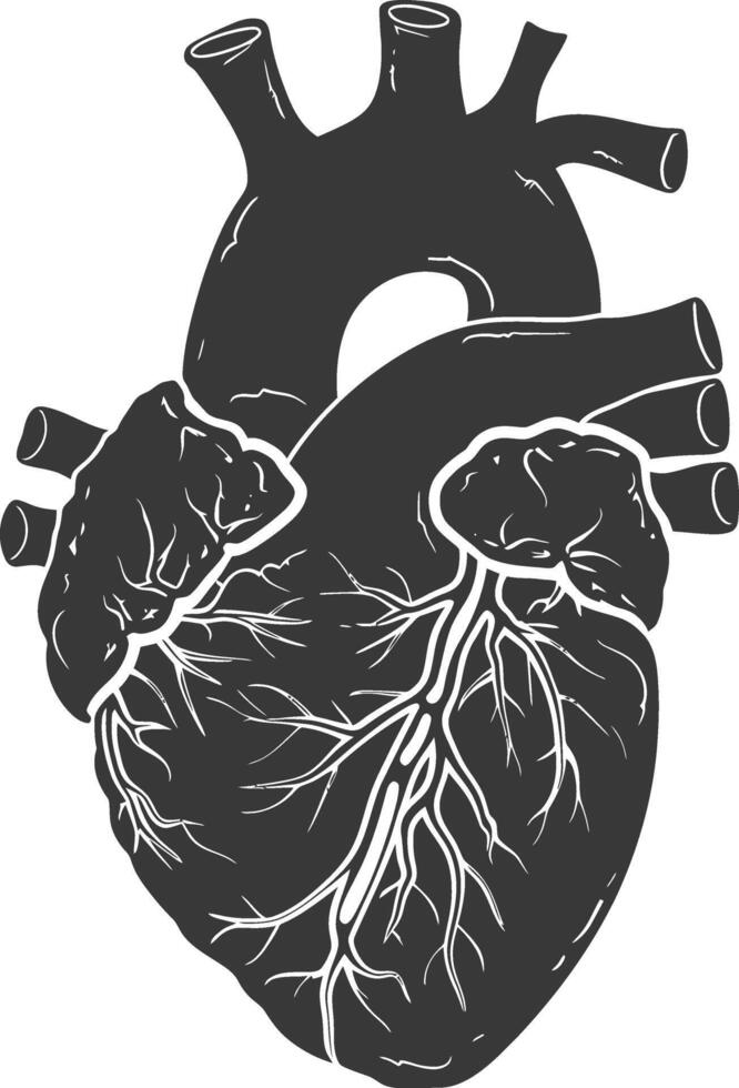 AI generated Silhouette for internal organs of heart black color only vector