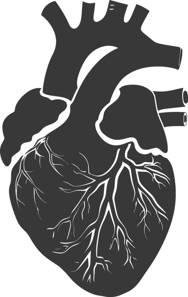 AI generated Silhouette for internal organs of heart black color only vector