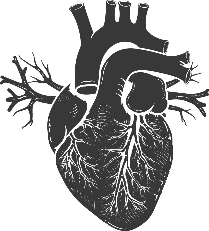 AI generated Silhouette for internal organs of heart black color only vector