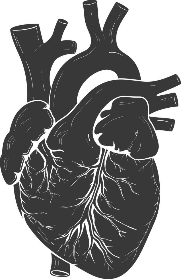 ai generado silueta para interno órganos de corazón negro color solamente vector