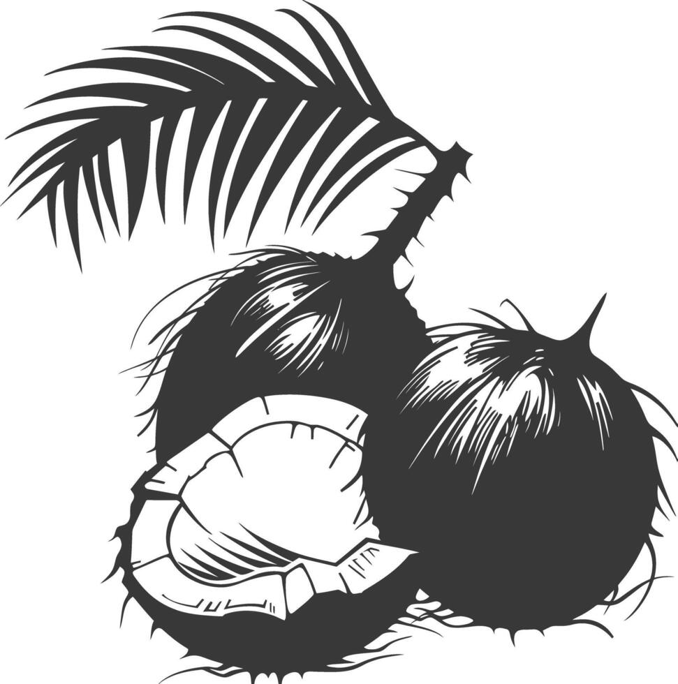 AI generated Silhouette Coconut Fruit black color only vector