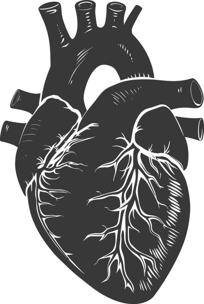 AI generated Silhouette for internal organs of heart black color only vector