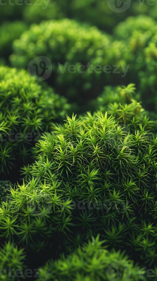 AI generated fluffy moss texture photo