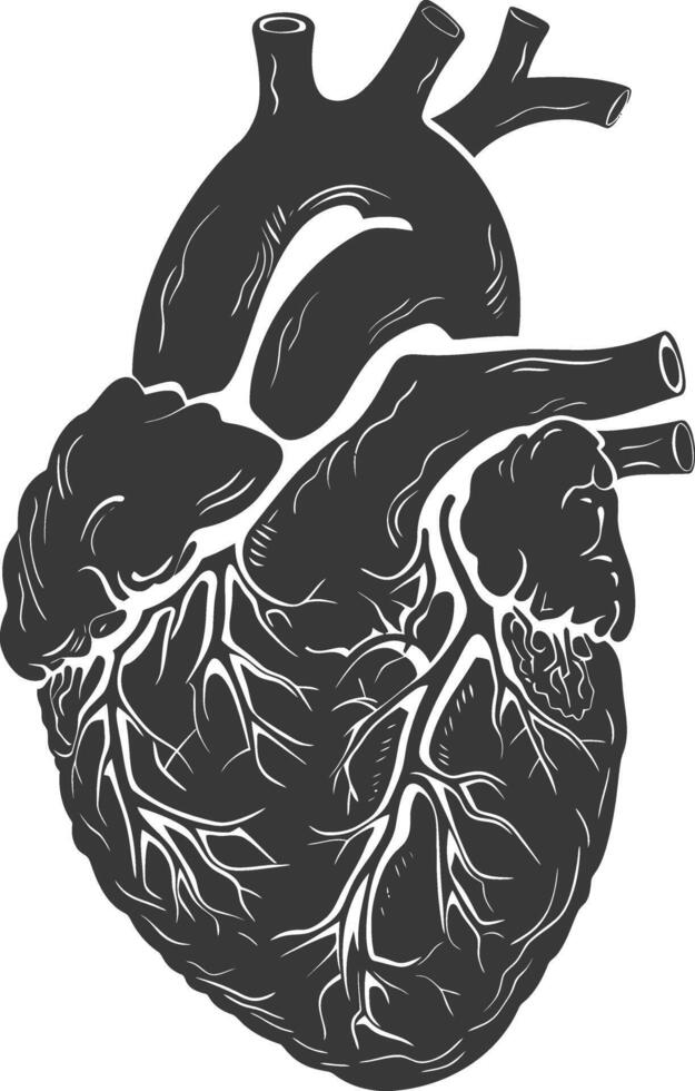 AI generated Silhouette for internal organs of heart black color only vector