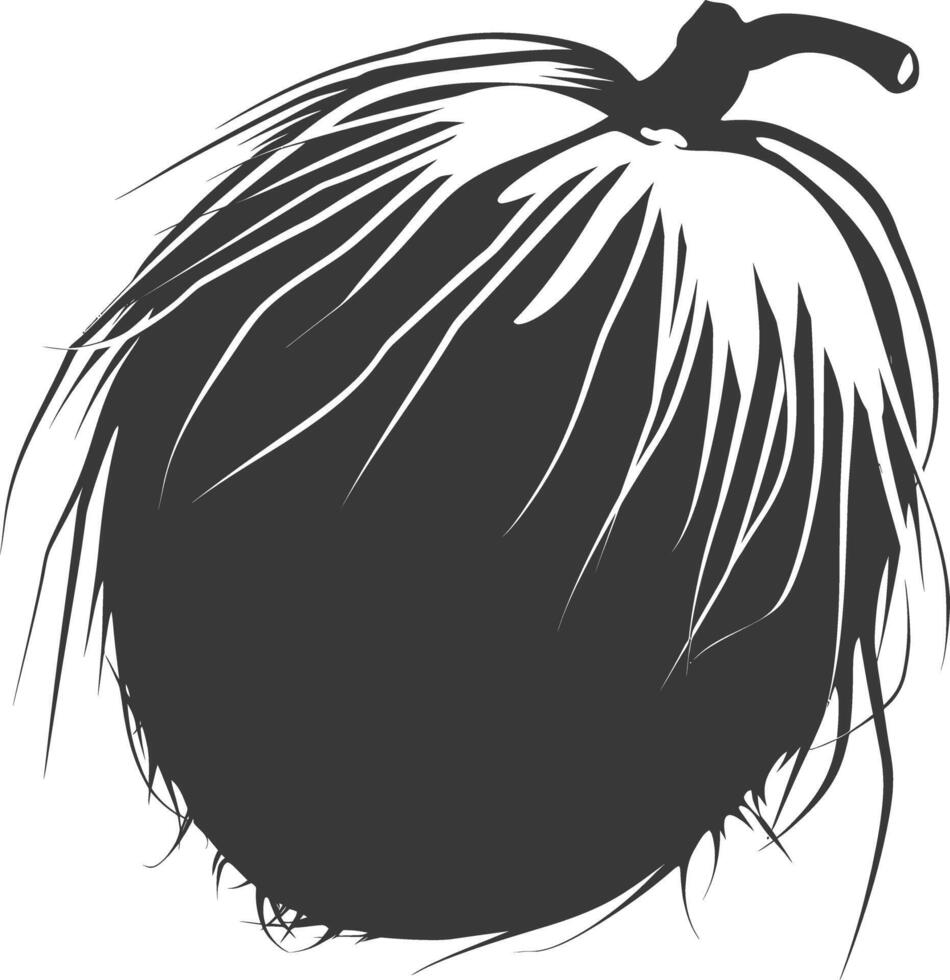 AI generated Silhouette Coconut Fruit black color only vector