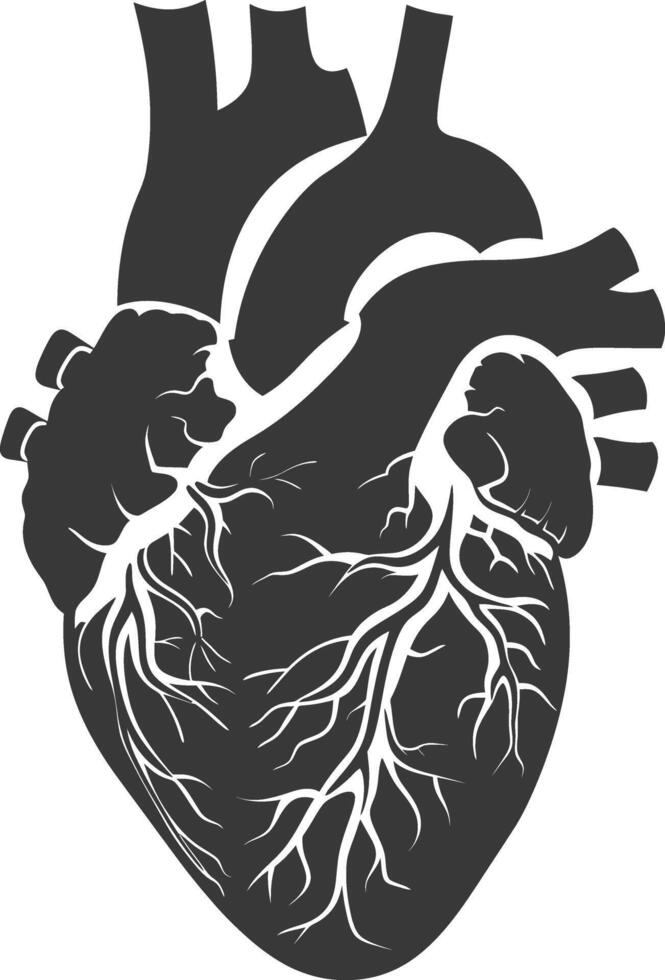 AI generated Silhouette for internal organs of heart black color only vector