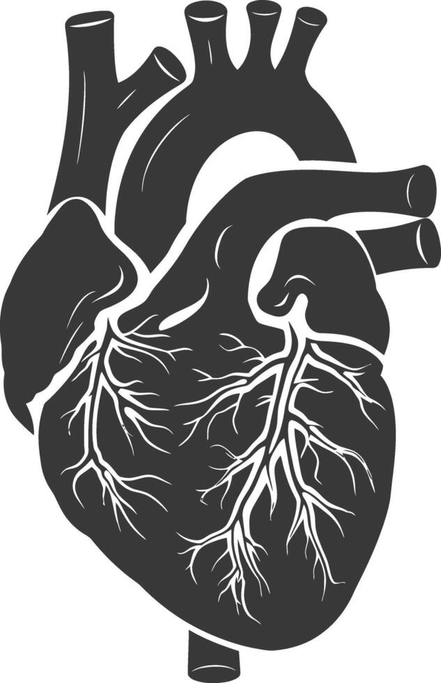 AI generated Silhouette for internal organs of heart black color only vector