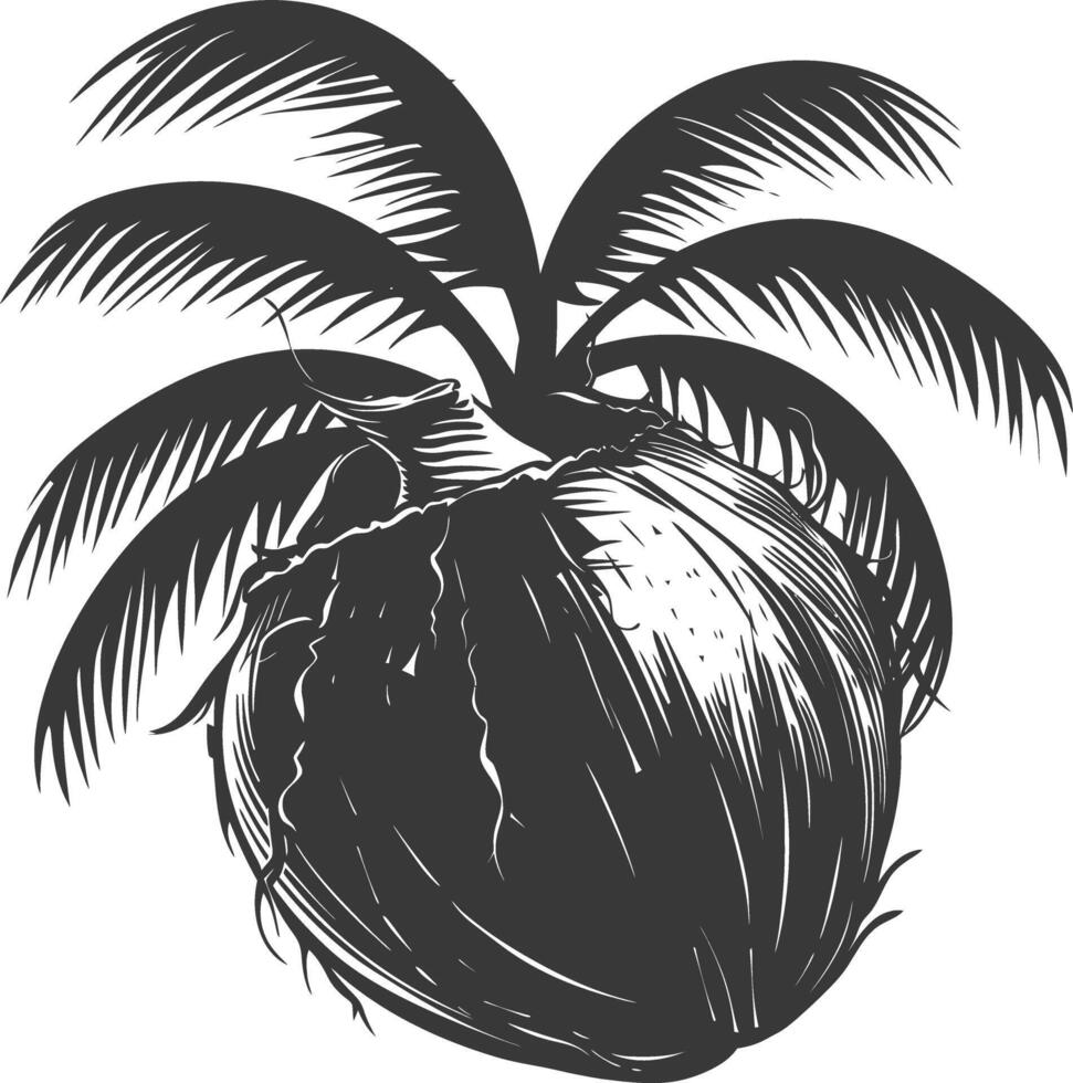 AI generated Silhouette Coconut Fruit black color only vector