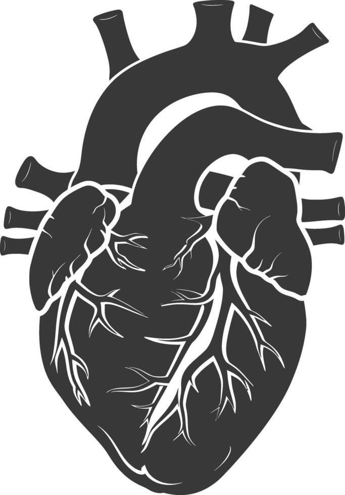 AI generated Silhouette for internal organs of heart black color only vector