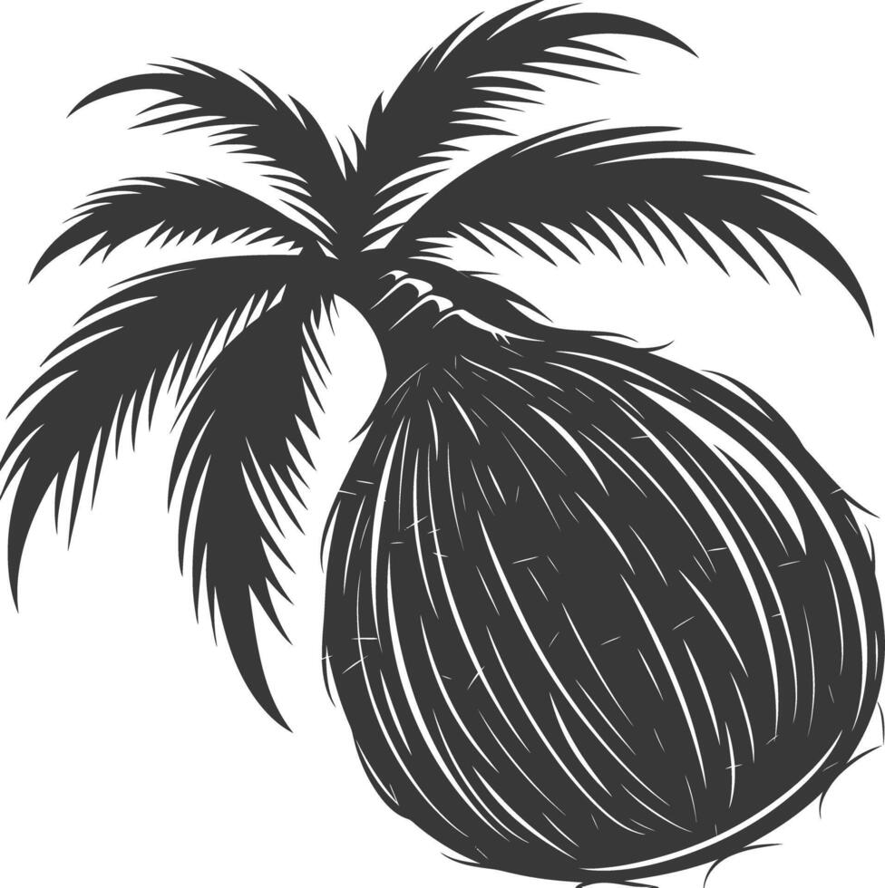 AI generated Silhouette Coconut Fruit black color only vector