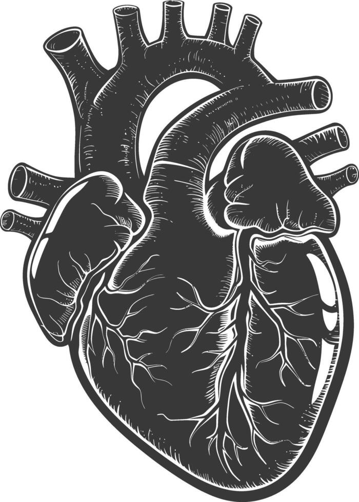 ai generado silueta para interno órganos de corazón negro color solamente vector