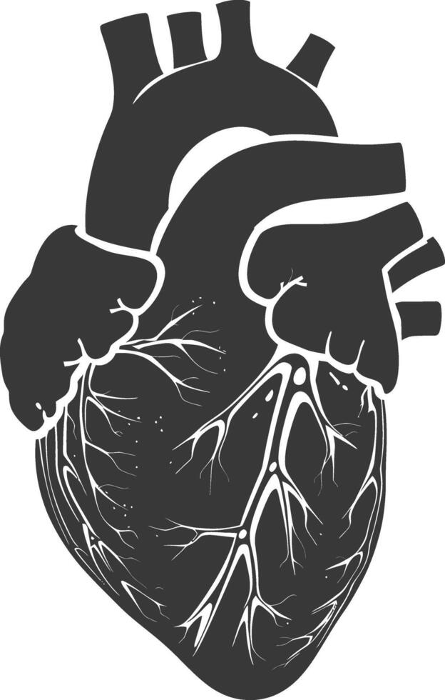 AI generated Silhouette for internal organs of heart black color only vector